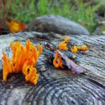 8月4号双色球开奖号码及中奖详情公布 02q5c3f