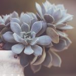 88直播间NBA精彩对决:巨星云集,热血激战一触即发 1ajef04ha