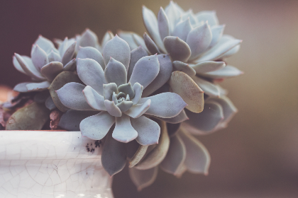 88直播间NBA精彩对决:巨星云集,热血激战一触即发