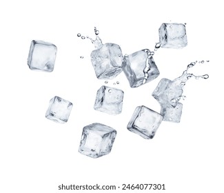 百乐门的美食之旅:品味多元文化的美味佳肴