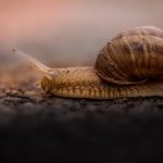 8现场开奖直播全程高清实时放送 6j2v29h