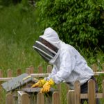 百利宫赌场豪华夜场星光与赛事体验之旅 77h3cqytr