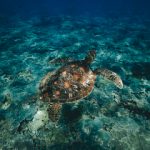 901开奖前后出现的惊人内幕与规律 8woyg