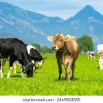 8月20日开奖盛典即将揭晓幸运得主 glzxb3xjsl