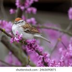 百利宫娱乐的魅力:让你沉浸在欢乐与刺激中 oj9oy